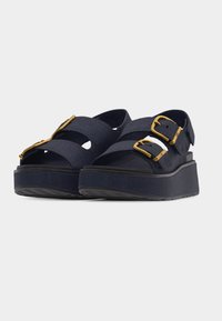 Ζευγάρι σκούρα μπλε πλατφόρμα σανδάλια με διπλές χρυσές αγκράφες και χοντρές σόλες σε λευκό φόντο.