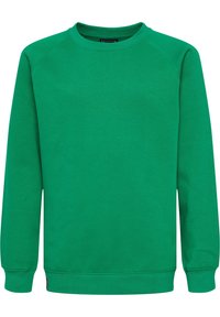 Sudadera verde hecha de un tejido suave, con cuello redondo y mangas largas con puños de canalé. Sin patrones ni gráficos visibles.