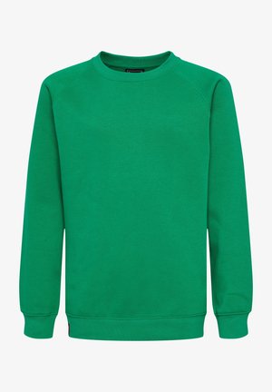 Sudadera verde hecha de un tejido suave, con cuello redondo y mangas largas con puños de canalé. Sin patrones ni gráficos visibles.