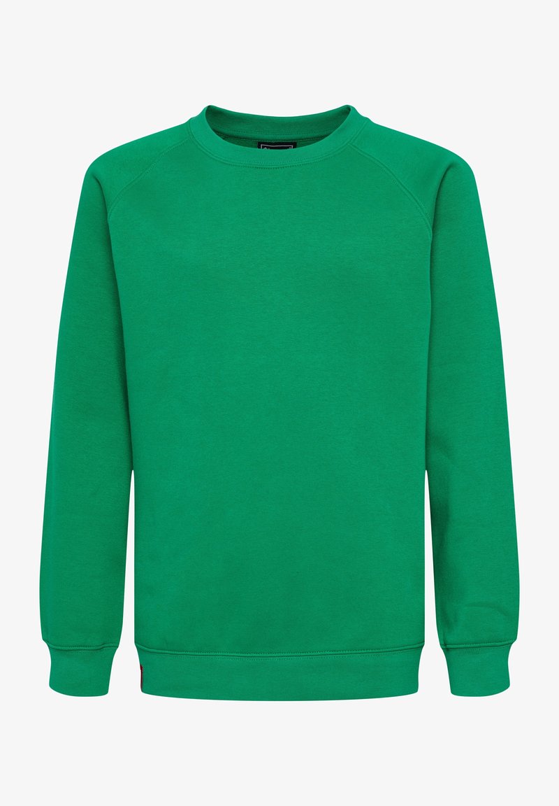 Sudadera verde hecha de un tejido suave, con cuello redondo y mangas largas con puños de canalé. Sin patrones ni gráficos visibles.