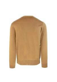 Maglione in maglia marrone con maniche lunghe, scollo rotondo e una texture liscia. Il retro è privo di motivi visibili o decorazioni.