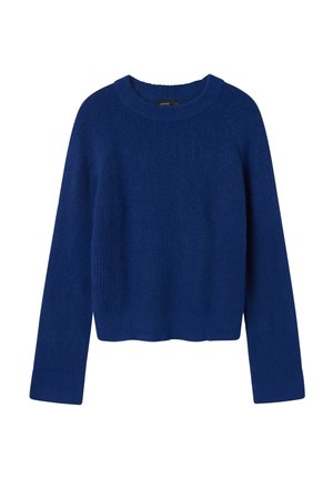 LANGARM - Trui - bluing