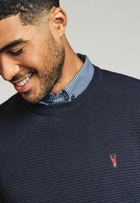 Next MOCK - Strickpullover - navy blue gingham