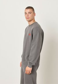 Hallide hallasteega hõlmik, millel on pikad varrukad ja soonikkoes mansetid. Rindkere kohal on väike punane logo. Pehme tekstuur ja lõdva siluett.