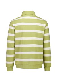 Zielony sweter w paski z kołnierzykiem, długimi rękawami oraz naprzemiennymi białymi i jasnozielonymi paskami na plecach i rękawach.