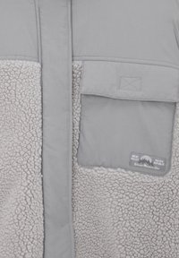 PULL&BEAR Vinterjakker - light grey