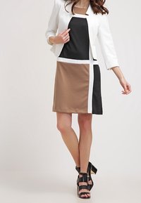 Robe à blocs de couleurs noir, marron et crème avec une couture accentuée blanche ; manches courtes ; tissu lisse ; associée à un blazer blanc et des talons noirs.