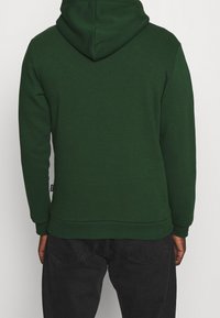 Groen sweatshirt met capuchon, gemaakt van zachte stof. Voorzien van geribbelde manchetten en zoom, met een klein label aan de zijkant. Eenvoudig ontwerp.
