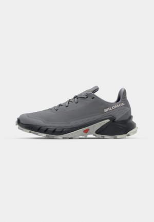 Chaussure de course grise avec une tige lisse et respirante, un capuchon de protection renforcé et une semelle en caoutchouc texturé. Présente un accent rouge distinct sur le côté.