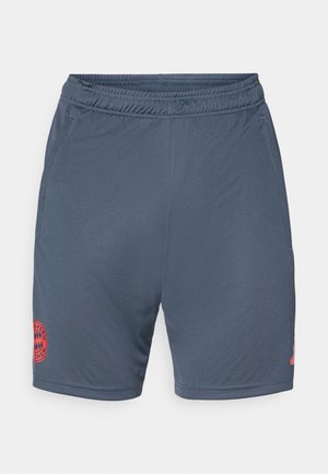 Grå fotballshorts med elastisk midje, med en rød brodert Bayern Munich-logo på nedre venstre side. Glatt, lett stoff.
