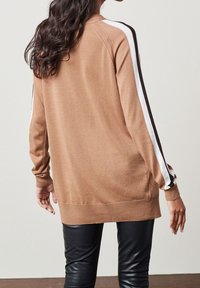 Brauner Strickpullover mit weißen und schwarzen Streifen an den Ärmeln, lockere Passform, gerippte Bündchen und Saum. Kombiniert mit schwarzen Hosen.