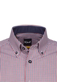 Camicia con bottoni caratterizzata da un motivo a quadri rosso, blu navy e bianco. Presenta un colletto strutturato con una fodera interna blu navy e bottoni scuri.