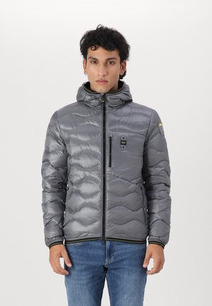 WAVE - Down jacket - grey