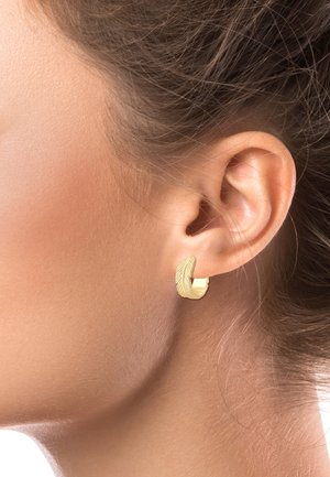 FEATHER FESTIVAL TREND - Earrings - gold- coloured