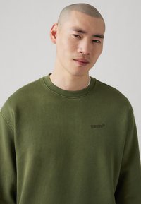 Olijfgroen sweatshirt met een ronde halslijn, ribgebreide manchetten en een klein reliëflogo op de linkerborst, gemaakt van geprofileerde katoenstof.