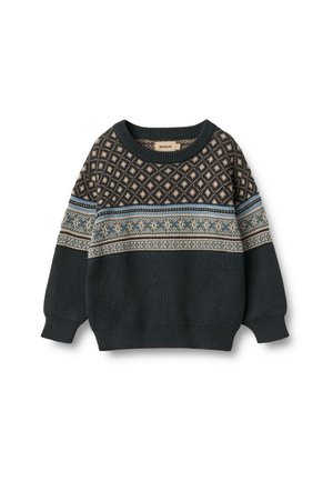 Pull en tricot de couleur vert foncé avec un motif sur la poitrine. Il présente un col rond, des manches longues et des motifs complexes en crème et bleu.