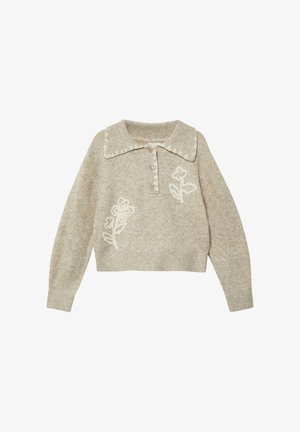 Ilgarankovis viršutinės dalies drabužis - sandstein