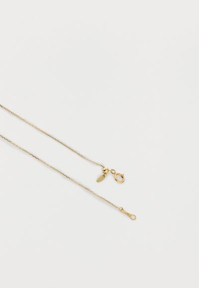 Ευαίσθητο χρυσό κολιέ με αλυσίδα, μικρό στρογγυλό κούμπωμα και μικρή ετικέτα σε σχήμα φύλλου, σε απλό λευκό φόντο.