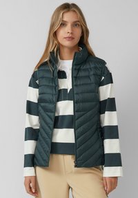 Gilet matelassé vert foncé résistant à l'eau, avec texture quiltée, col haut et fermeture éclair. Porté sur une chemise à rayures blanches et bleu marine à manches longues.
