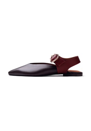 Zapato plano para mujer con puntera puntiaguda en marrón oscuro con una correa ancha y hebilla redonda dorada en el talón, sobre un fondo blanco.