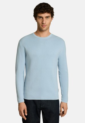 Mann trägt einen hellblauen strukturierten Langarmpullover und dunkle Hose, steht vor einem schlichten weißen Hintergrund.