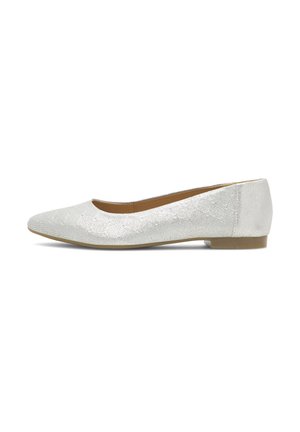 Flat ballet shoe in metallic silver fabric, featuring a pointed toe, minimalistic design, and a low heel for comfort.
