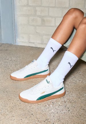 CLUB 5V5 UNISEX - Tossud - vapor gray/dark myrtle/gold