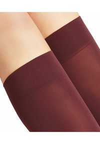 FALKE PURE MATT 50 DENIER SEMI-OPAQUE - Kniestrümpfe - barolo (8596)
