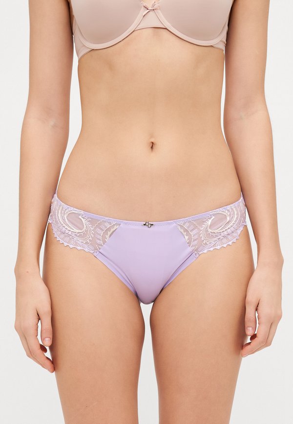 EVOLUTIVE BRIEF - Briefs