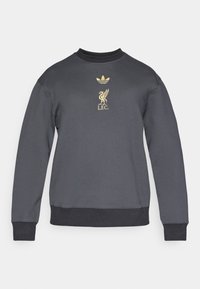 Hanorac de culoare gri închis, din bumbac, cu guler și manșete ribb. Grafica aurie include logo-ul Adidas și emblema Liverpool FC.