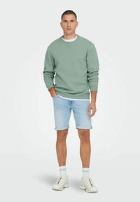 Only & Sons ONSCERES CREW NECK NOOS - Melegítőfelső - chinois green