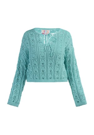 Heegeldatud kampsun helesinisel värvil, pikkade varrukatega ja ümmarguse kaelusega. Omab avatud silmustega disaini ja lühikest pikkust.