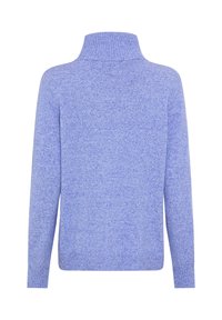 Helles blaues Sweatshirt mit hohem Kragen, langen Ärmeln und strukturiertem Finish. Mit gerippten Bündchen und Saum. Rückansicht angezeigt.