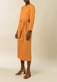 Vestido de color ámbar, de manga larga, con un lazo en la cintura, hecho de una tela suave, con una silueta recta y un dobladillo a la altura de la rodilla.