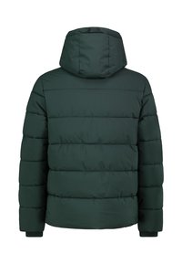 Grüne Steppjacke mit Kapuze, die ein gesteppte Design und eine glatte Textur aufweist. Die Bündchen sind mit Rippstrick veredelt. Rückansicht gezeigt.
