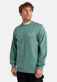Sweatshirt bleu clair en mélange de coton doux, avec un col et des poignets côtelés, orné d'un logo Billabong imprimé et d'un motif de palmier.