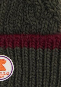 Cappellino lavorato a maglia in verde scuro con una banda a coste color marrone scuro. Presenta una toppa ricamata circolare con un logo stilizzato di animale.
