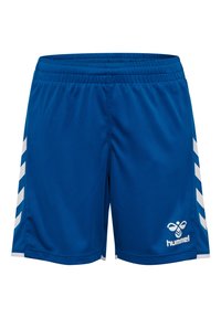 Non sélectionné, true blue white