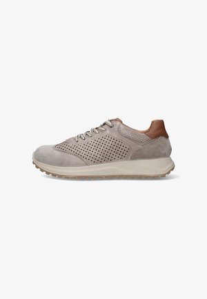 Sneaker in camoscio grigio chiaro con lati traforati, patch in pelle marrone sul tallone, suola bianca con grip decorato e lacci decorati.
