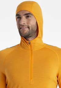 icebreaker MERINO 200 MID WEIGHT SONEBULA HALF ZIP HOOD - Maglietta a manica lunga - DARK ORANGE