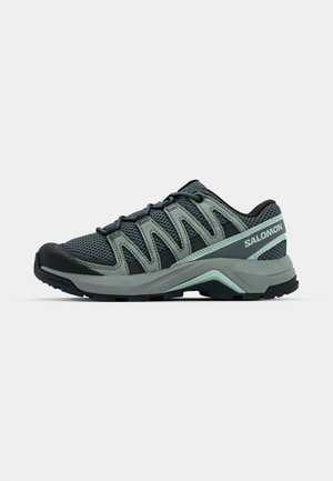 Heren Salomon trailrunning schoen, met een donkergrijze mesh bovenkant en lichtgroene accenten, een cushionende zool en een duurzame zwarte neuskap.
