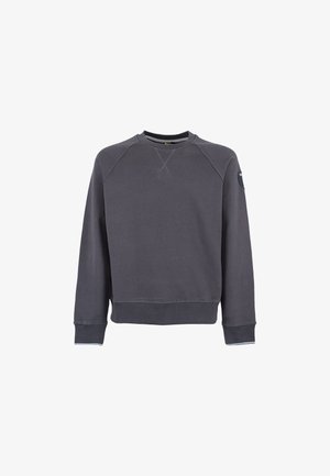Grijze sweatshirt met een ronde hals, ribgebreide cuffs en zoom, en een patch op de linkerschouder. Heeft een zachte textuur en minimale stikdetails.
