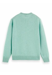 Maglione lavorato a maglia verde menta chiaro, con scollatura a girocollo, polsini e orlo a coste. Texture liscia con vestibilità leggermente ampia e maniche raglan.