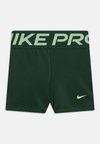 DF PRO LEGGINGS - Retuusid - fir/barely volt
