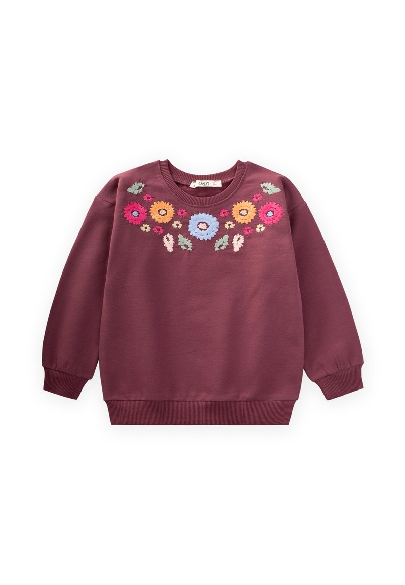 Sudadera marrón con mangas largas, puños acanalados y bordados florales en rosa, amarillo, azul y verde en el pecho y los hombros.