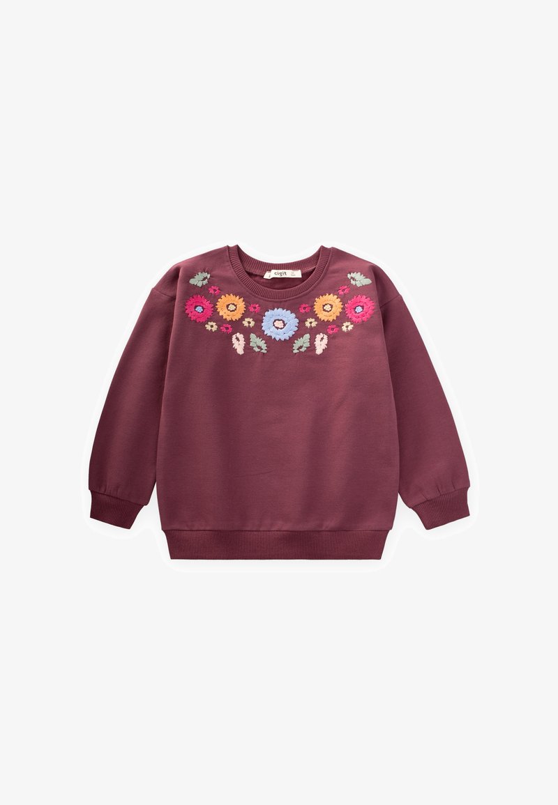 Sudadera marrón con mangas largas, puños acanalados y bordados florales en rosa, amarillo, azul y verde en el pecho y los hombros.