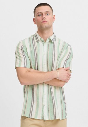 Camicia a maniche corte con bottoni in verde chiaro, caratterizzata da righe verticali in beige, marrone e verde scuro, realizzata in un tessuto strutturato.