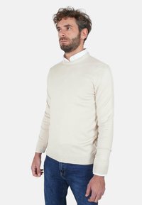 Maglione beige lavorato a maglia con scollo tondo e polsini a costine, indossato sopra una camicia bianca con colletto. Abbinato a jeans blu scuro, modello in piedi.