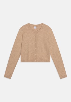 BASIC - Neuletakki - beige melange