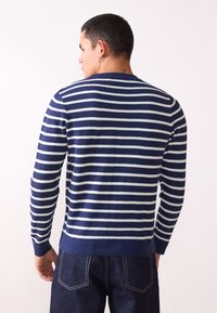 Navyblauwe en witte gestreepte gebreide trui met lange mouwen, ronde hals en ribbelrand. Draagt bij donkere spijkerbroek, toont achteraanzicht.